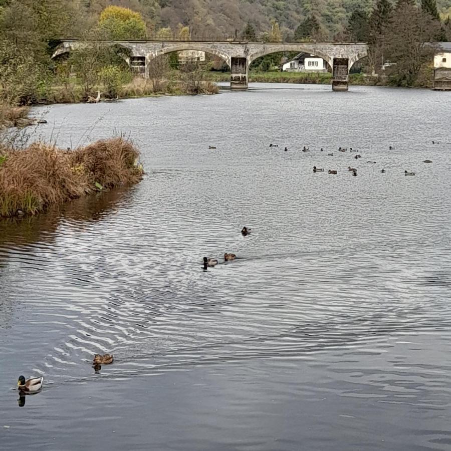 Le Sentier Des Lavandes Vresse-sur-Semois Esterno foto