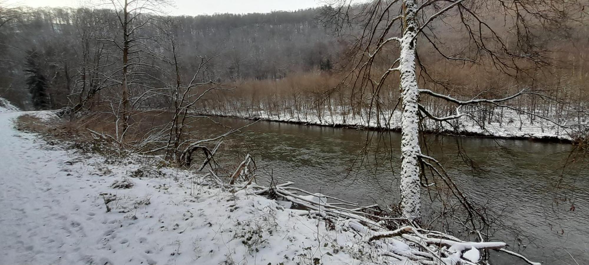 Le Sentier Des Lavandes Vresse-sur-Semois Esterno foto