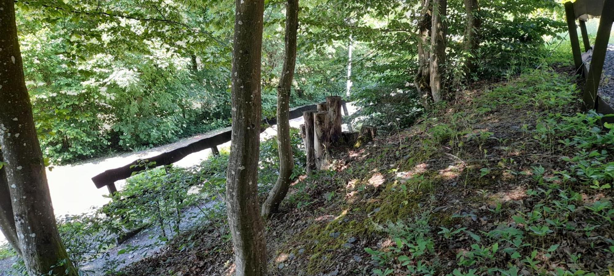 Le Sentier Des Lavandes Vresse-sur-Semois Esterno foto