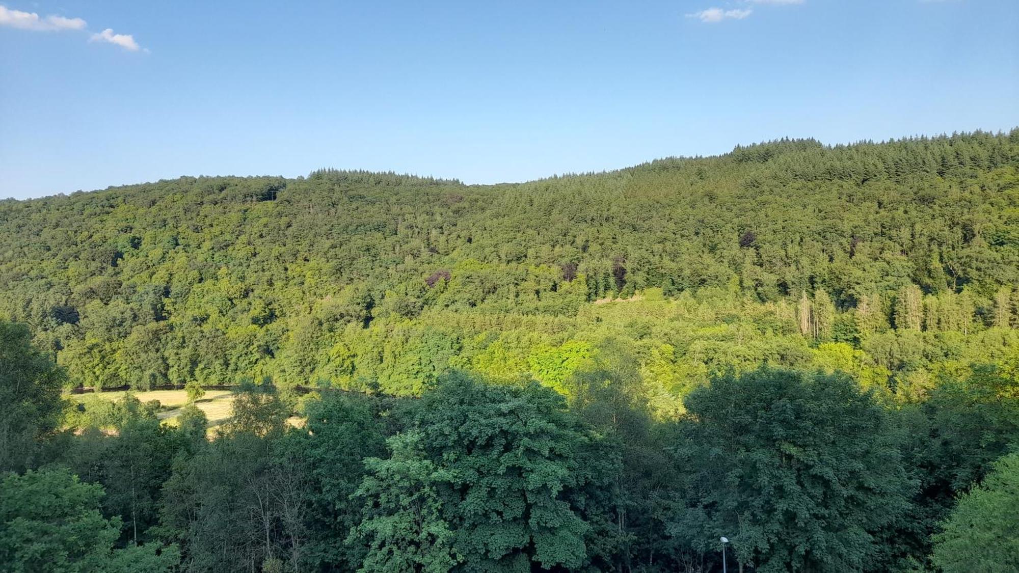Le Sentier Des Lavandes Vresse-sur-Semois Esterno foto