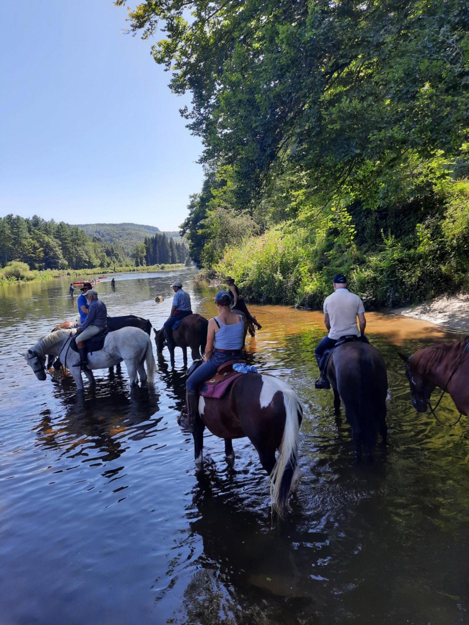Le Sentier Des Lavandes Vresse-sur-Semois Esterno foto