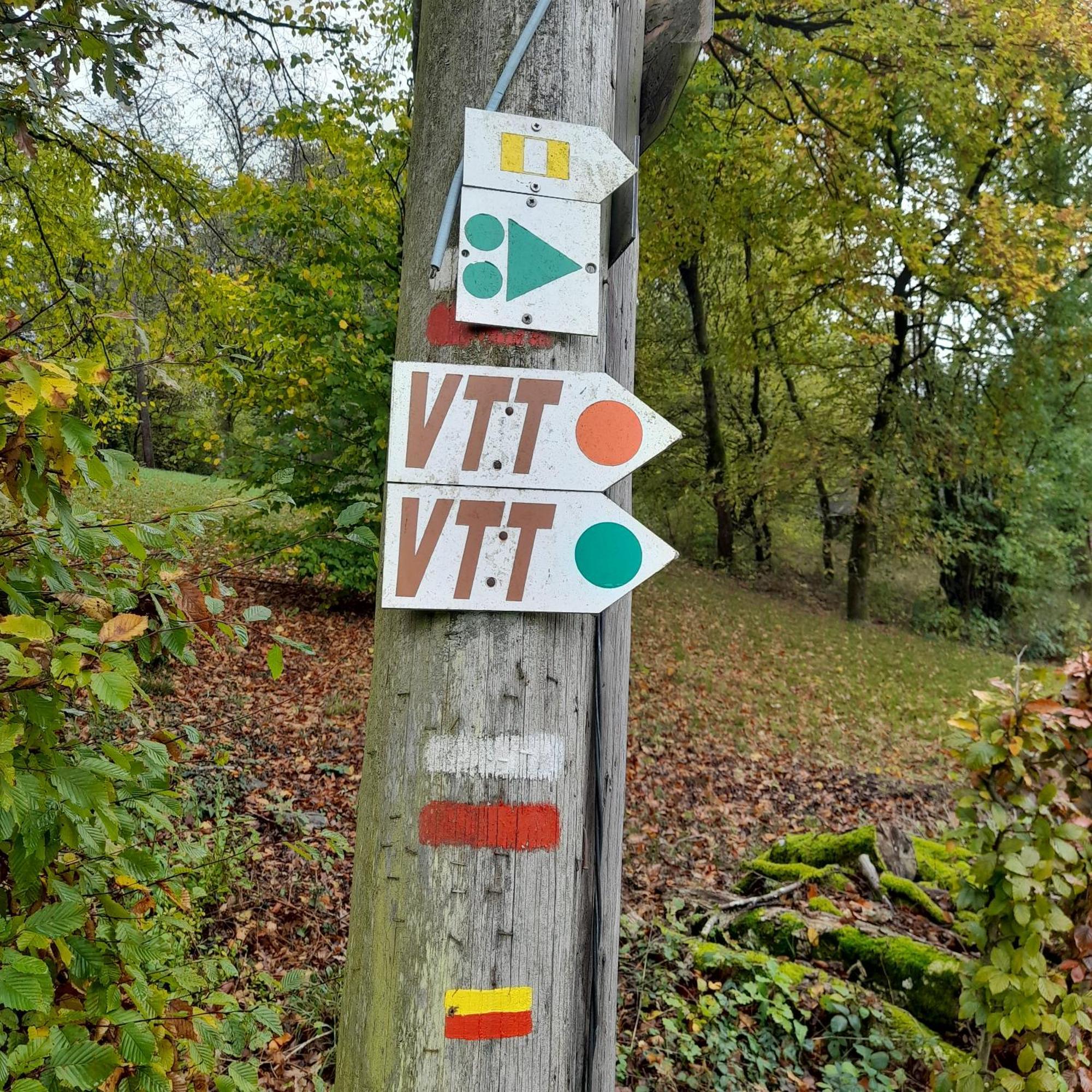 Le Sentier Des Lavandes Vresse-sur-Semois Esterno foto