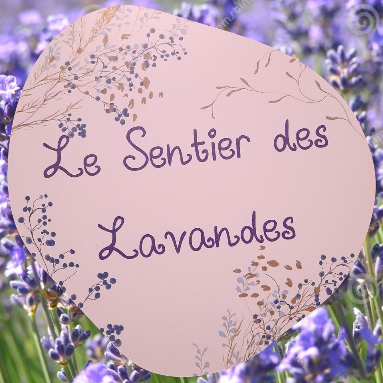 Le Sentier Des Lavandes Vresse-sur-Semois Esterno foto