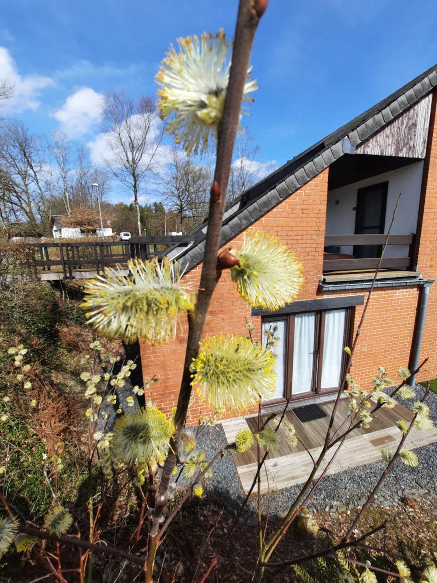 Le Sentier Des Lavandes Vresse-sur-Semois Esterno foto
